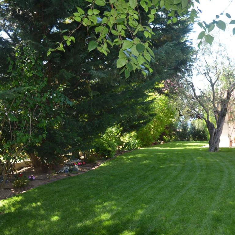 Asso Bed & Breakfast - Camera Matrimoniale con Patio - 19