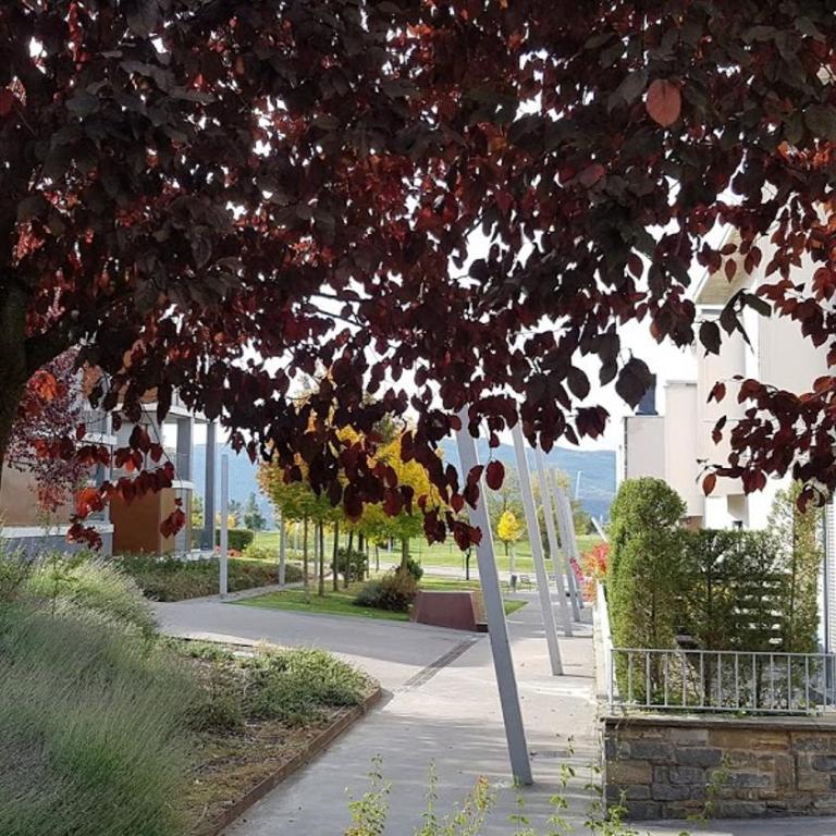 VALLE DE TENA - GOLF & RELAX - ESQUI - PIRINEO de HUESCA - Apartment - Erdgeschoss - 20
