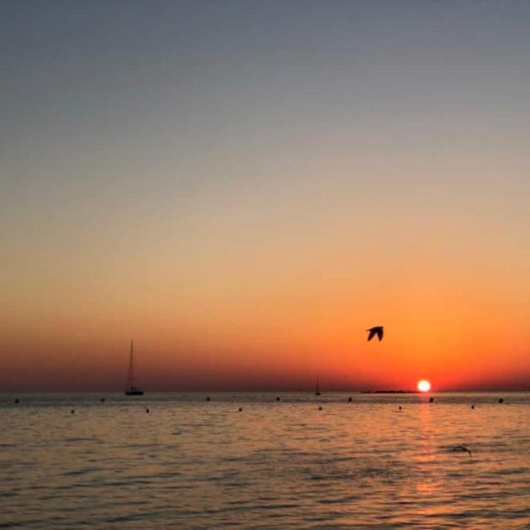 Antibes Seaside one room studio in Salis Beach - Studio - 1