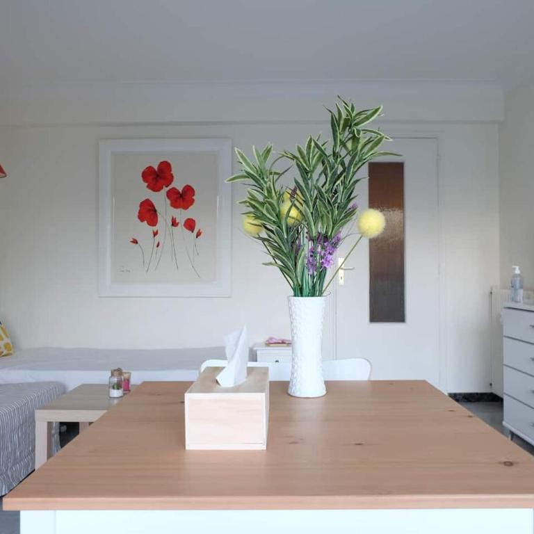 Antibes Seaside one room studio in Salis Beach - Studio - 11