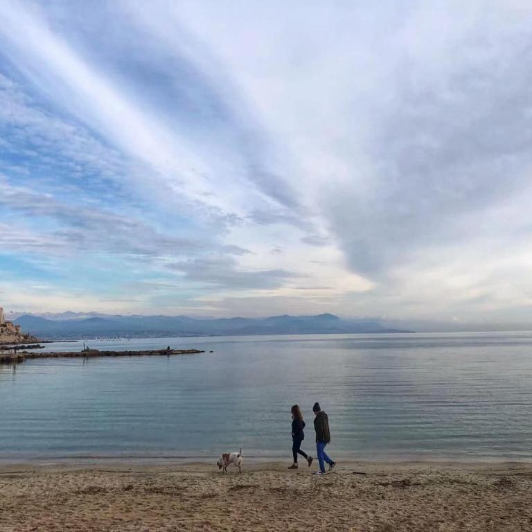 Antibes Seaside one room studio in Salis Beach - Studio - 13