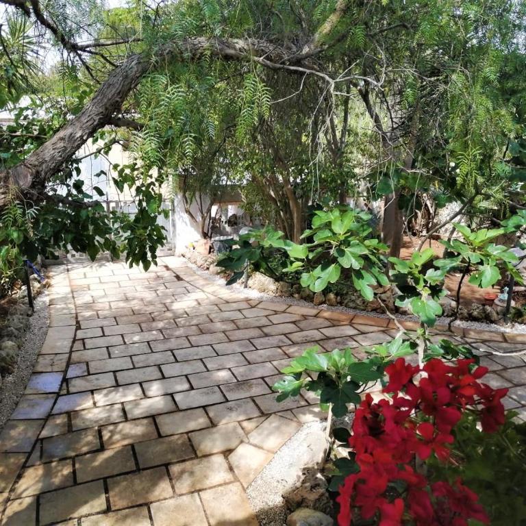 Maresalento Villetta Dante - Casa con 6 Camere da Letto - 38