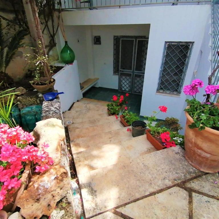 Maresalento Villetta Dante - Casa con 6 Camere da Letto - 78