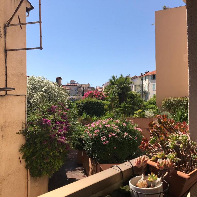 Les Beaux Jours - Calm & Sunny balcony - Studio avec Balcon - 9