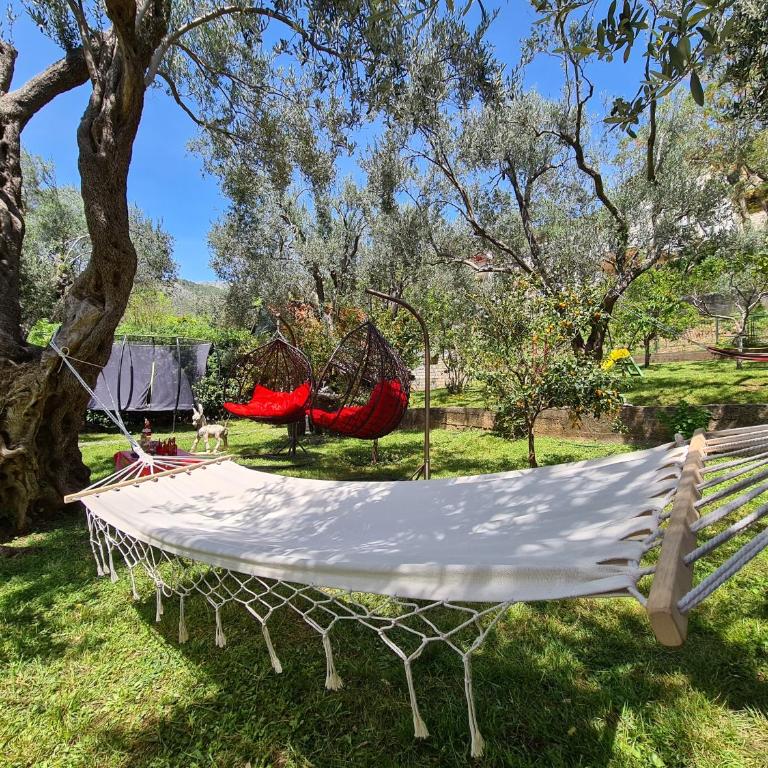 Olive Garden Apartment - Two-Bedroom Villa - 14