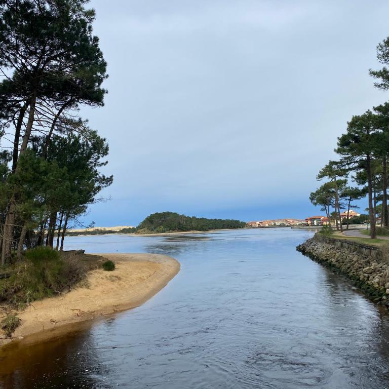 Appart pour 4 à 6 pers Les résidences du lac Soustons plage Piscine proche golf océan - Appartement 1 Chambre - 25