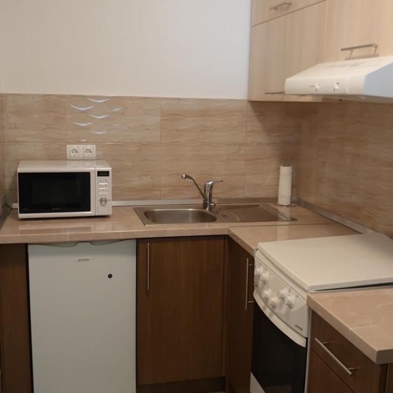 Apartments Tulipan - with free private parking garage - Two-Bedroom Apartment with Terrace - 13