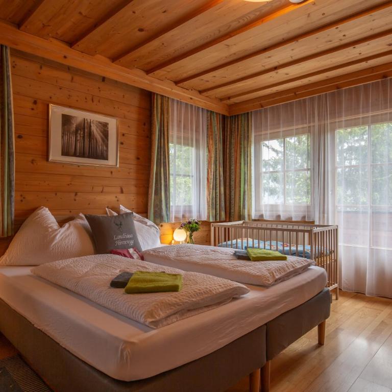 Landhaus Hinteregg Apartment - Apartment mit Blick auf die Berge - 4