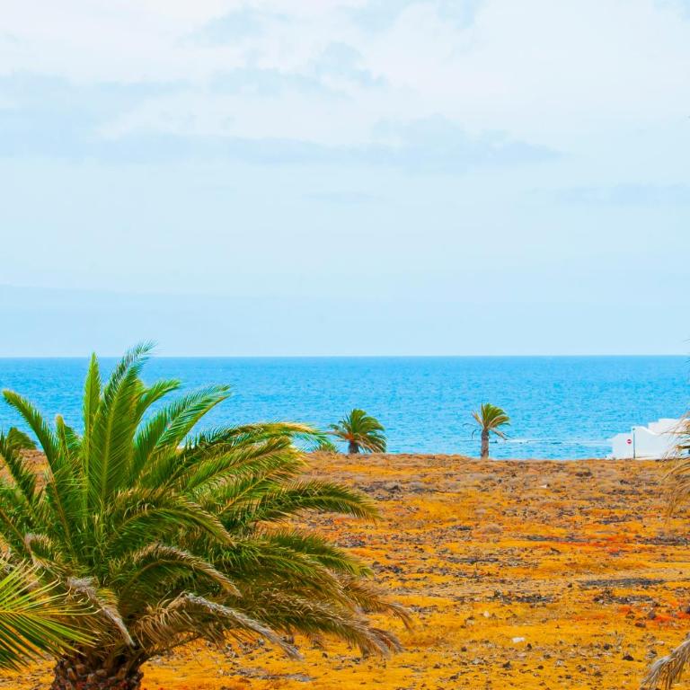 Luxury Anabel Villa - Villa - 25