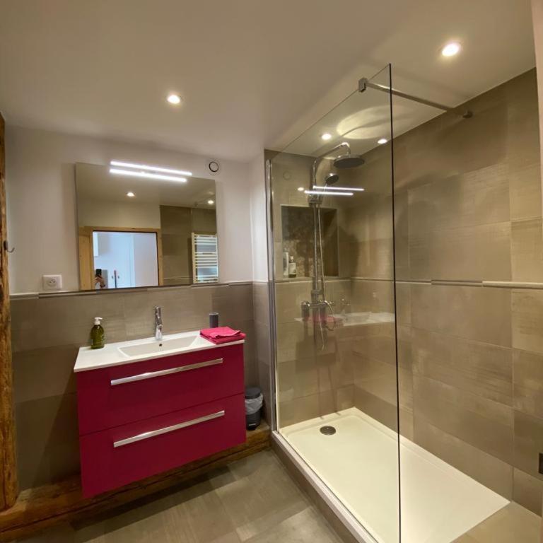 Au Cheval Blanc - appartements et chambres d'hôtes - Appartement avec Vue sur la Montagne - 22
