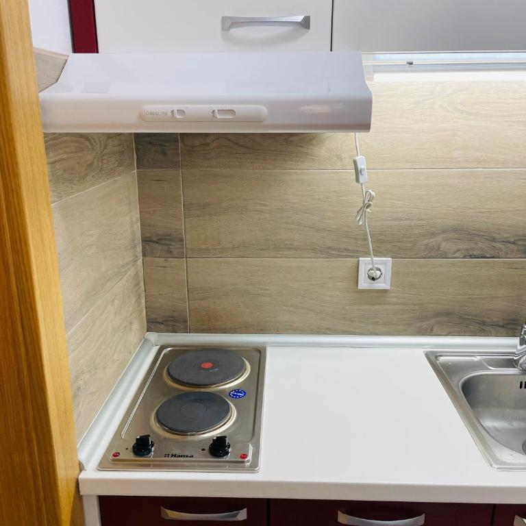 Apartman Saga Premium Garaza Parking Vauceri Ne - Apartman sa 1 Spavaćom Sobom - 7