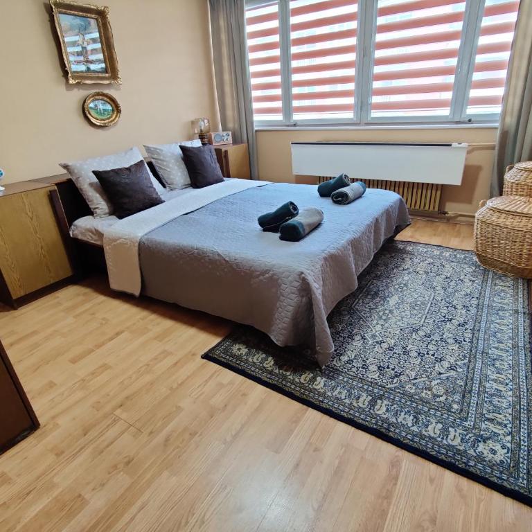 Aunt's Place - Apartman sa 1 Spavaćom Sobom - 9