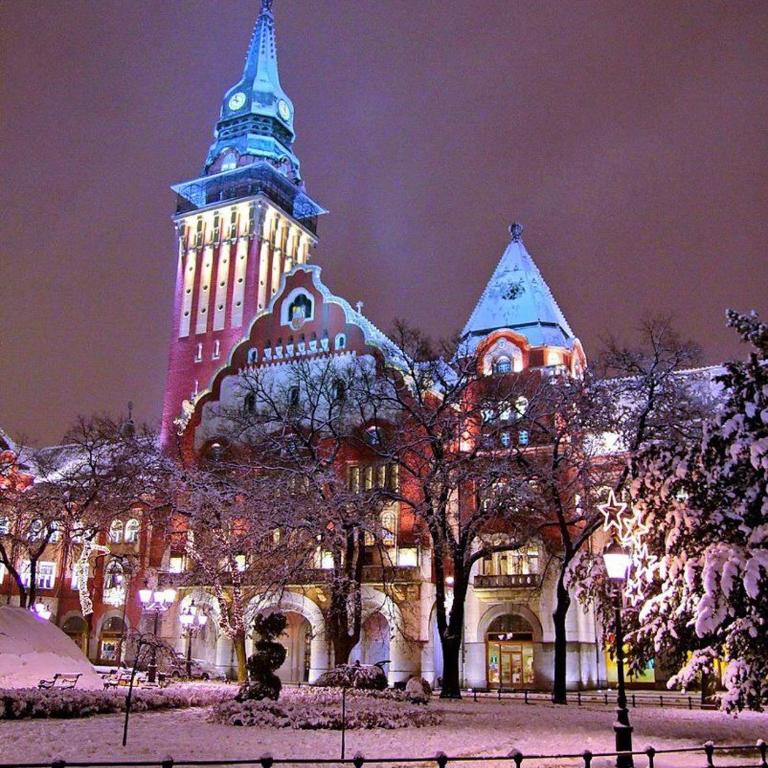 MB Apartment - One-Bedroom Apartment - 31