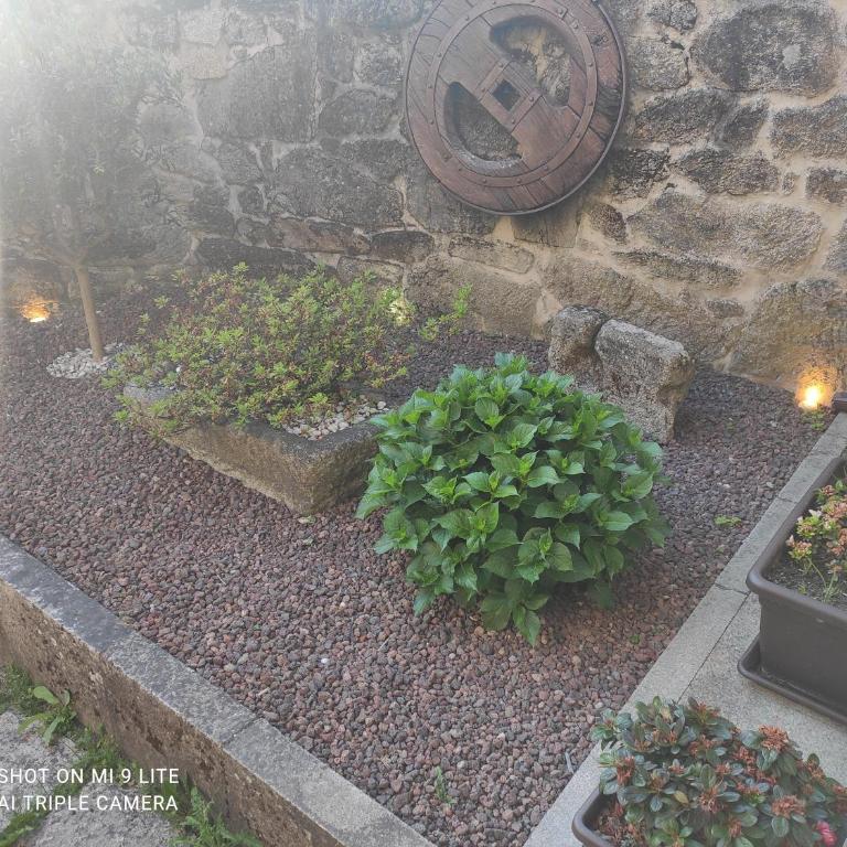 CASA BOREAL - Casa de 4 dormitorios - 12