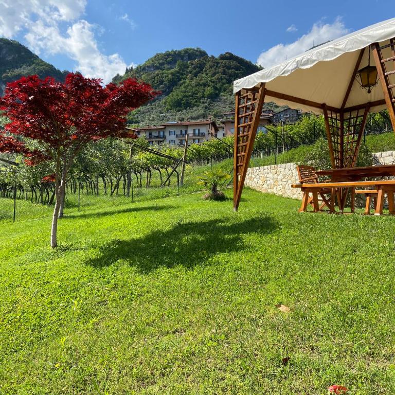 Villa Desy - Casa con 2 Camere da Letto - 32
