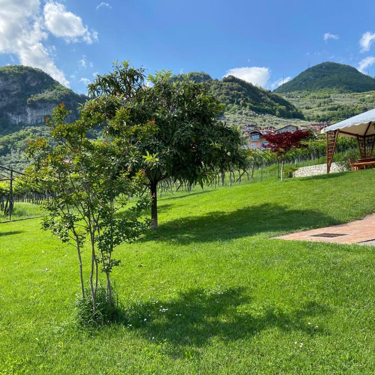 Villa Desy - Casa con 2 Camere da Letto - 30