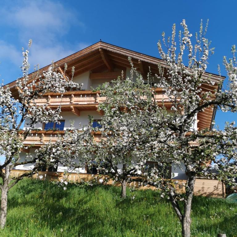 Appartements Höpfl - Apartment mit 2 Schlafzimmern und Dusche - 3