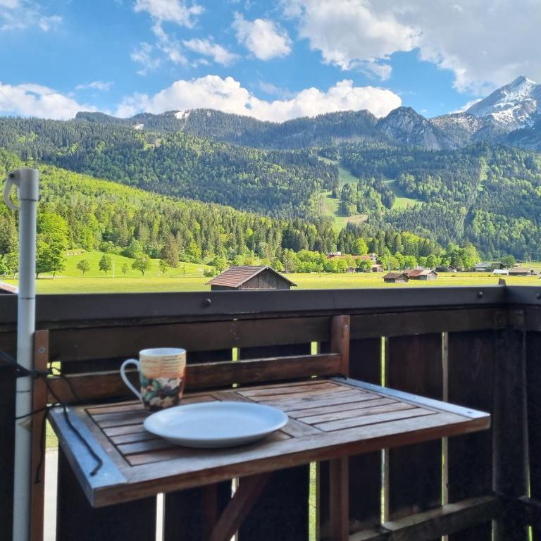 Haus Kreuzeckwiese - Self Catering Apartments - Studio mit Bergblick - 2