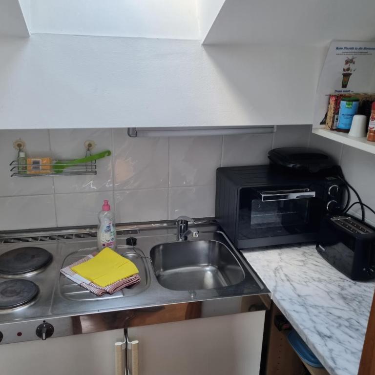 Haus Kreuzeckwiese - Self Catering Apartments - Studio mit Bergblick - 9