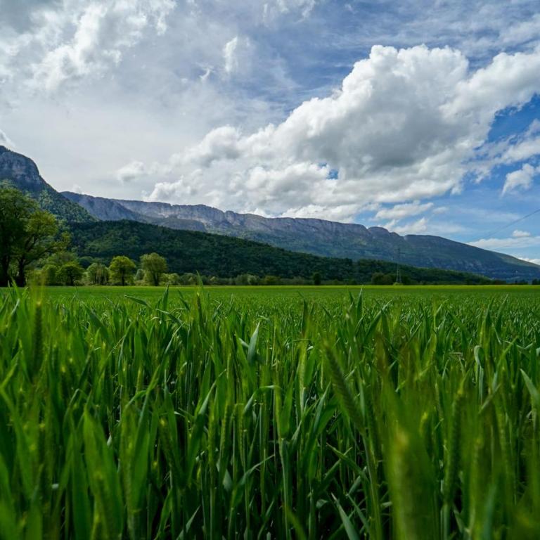 Les Aravis - Appartement pour 6 personnes à 5min du Lac - Appartement - 18