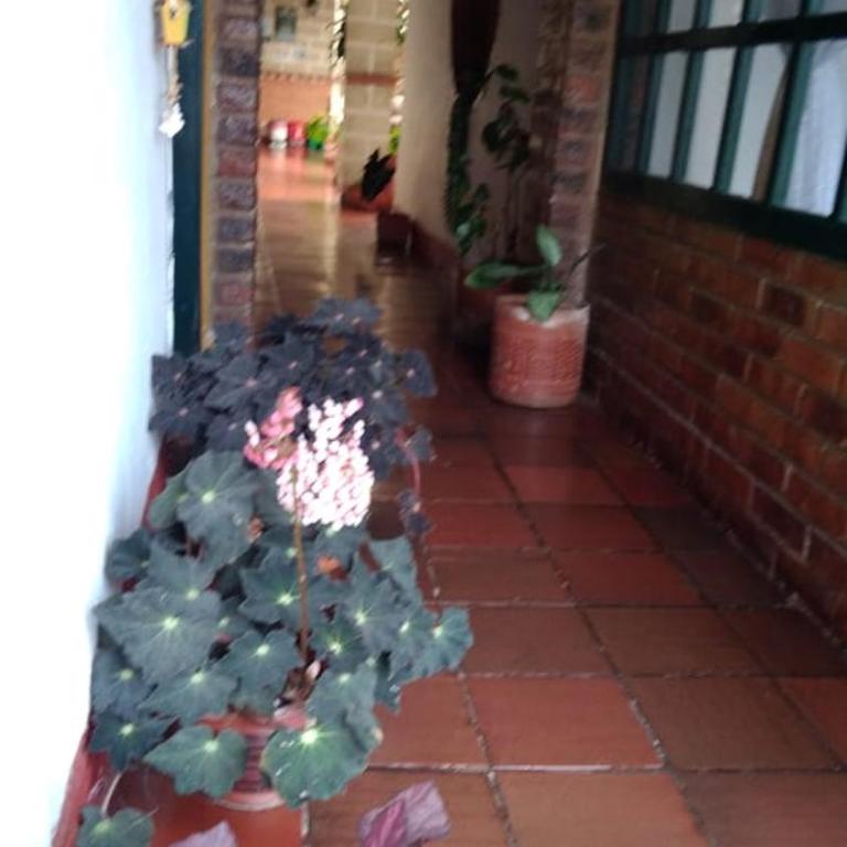 Hospedería Colonial de Villa de Leyva - Habitación Doble Deluxe con bañera - 10