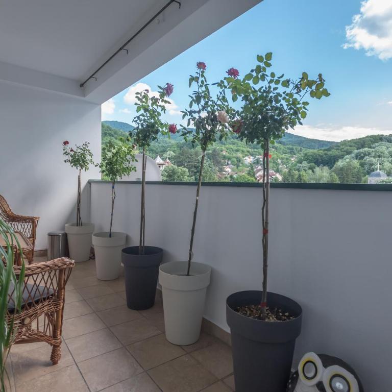 Onore dell amore apartman sa djakuzijem - Apartman sa 1 Spavaćom Sobom - 47