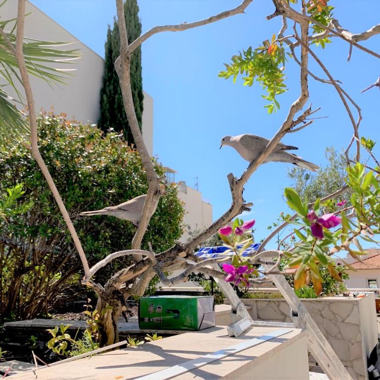 ROOFTOP CROISETTE/ALEXANDRE III - Appartement 2 Chambres - 8