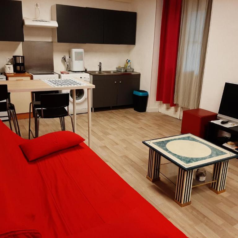 Studio 35m2 terrasse et jardin quartier calme au centre ville de Lourdes - Apartment mit 1 Schlafzimmer - 11