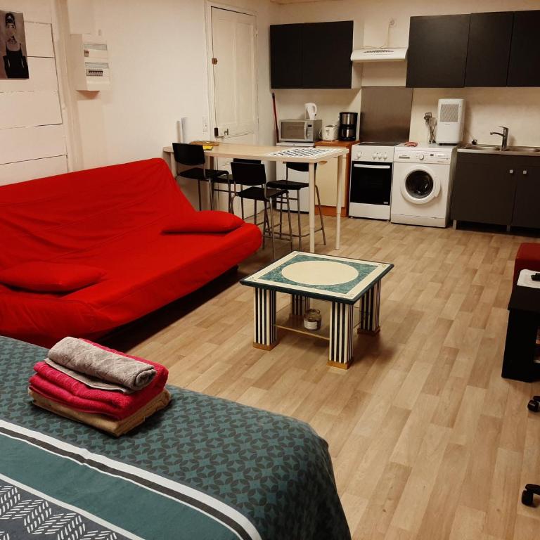 Studio 35m2 terrasse et jardin quartier calme au centre ville de Lourdes - Apartment mit 1 Schlafzimmer - 8