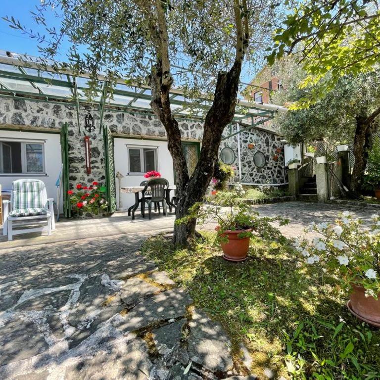 Rosy apartment - Levanto, 5 Terre - Appartamento con 1 Camera da Letto - 8