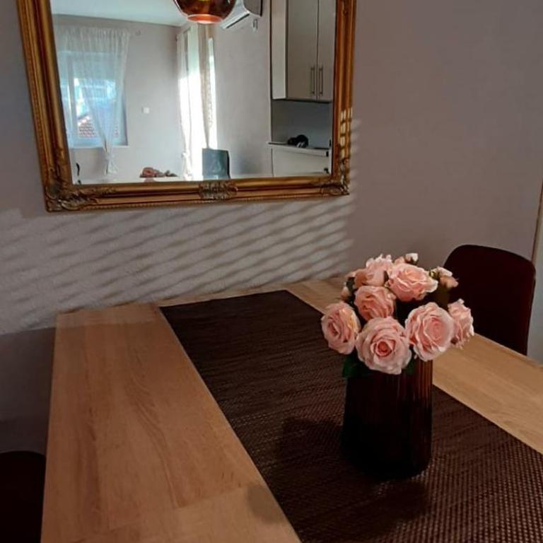 Apartman Lav - Apartman sa 1 Spavaćom Sobom - 9