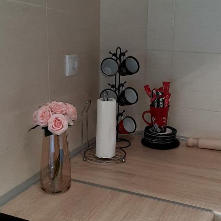 Apartman Lav - Apartman sa 1 Spavaćom Sobom - 7