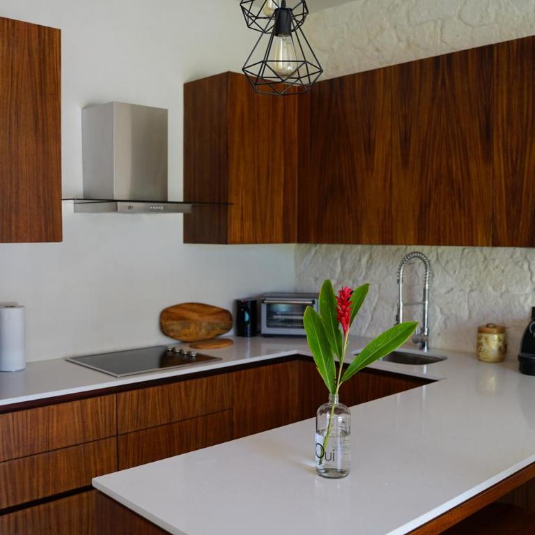 Kaanal Tulum - Apartamento de 1 dormitorio - 5