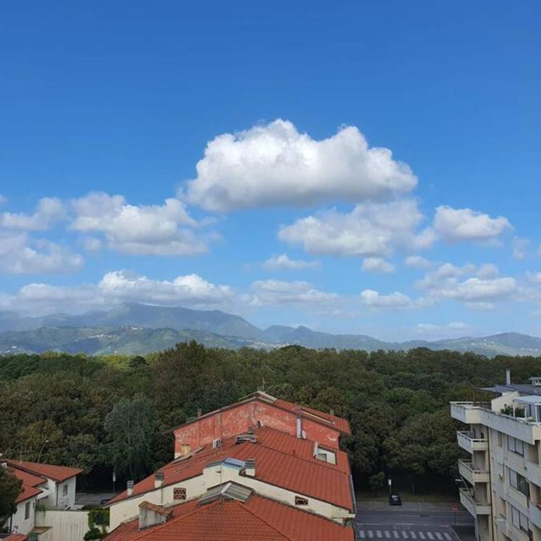 Viareggio Suite a 50 metri dal mare - Appartamento con 1 Camera da Letto - 18