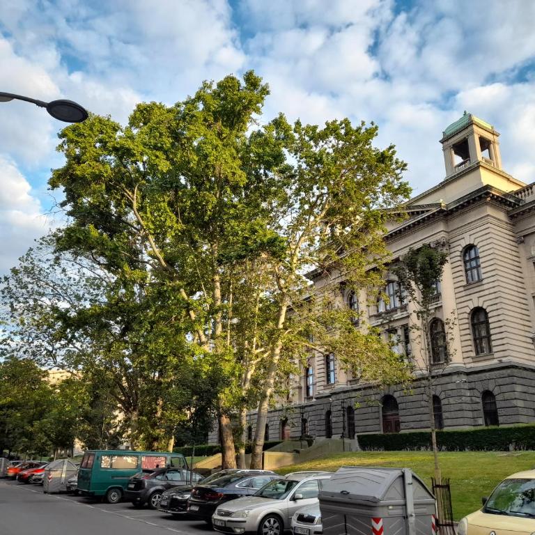 Apartment Artistika - Apartman sa 3 Spavaće Sobe - 4