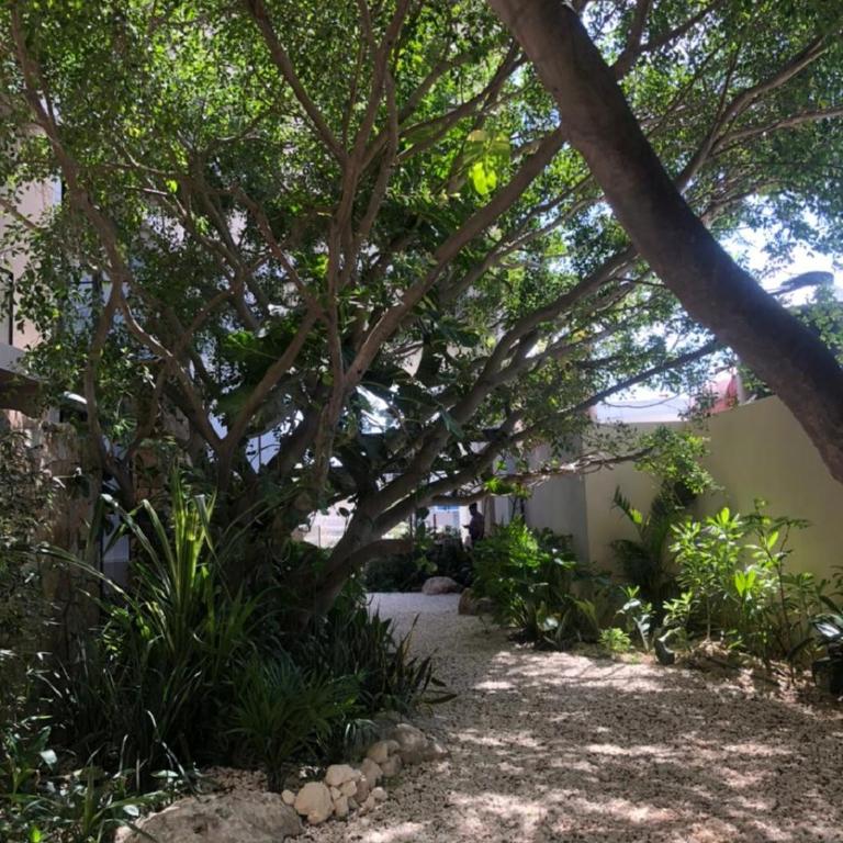 MAGNÍFICO ESTUDIO CON ROOFTOP CERCA DE 5TA AVENIDA - Apartamento de 1 dormitorio - 26