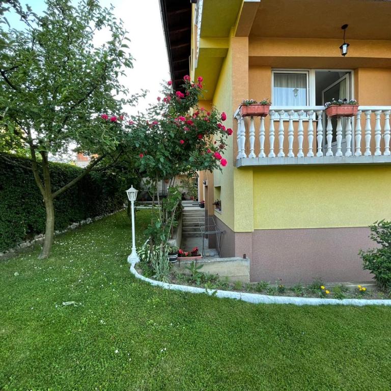 Sunny Garden Apartment - One-Bedroom Apartment - 20