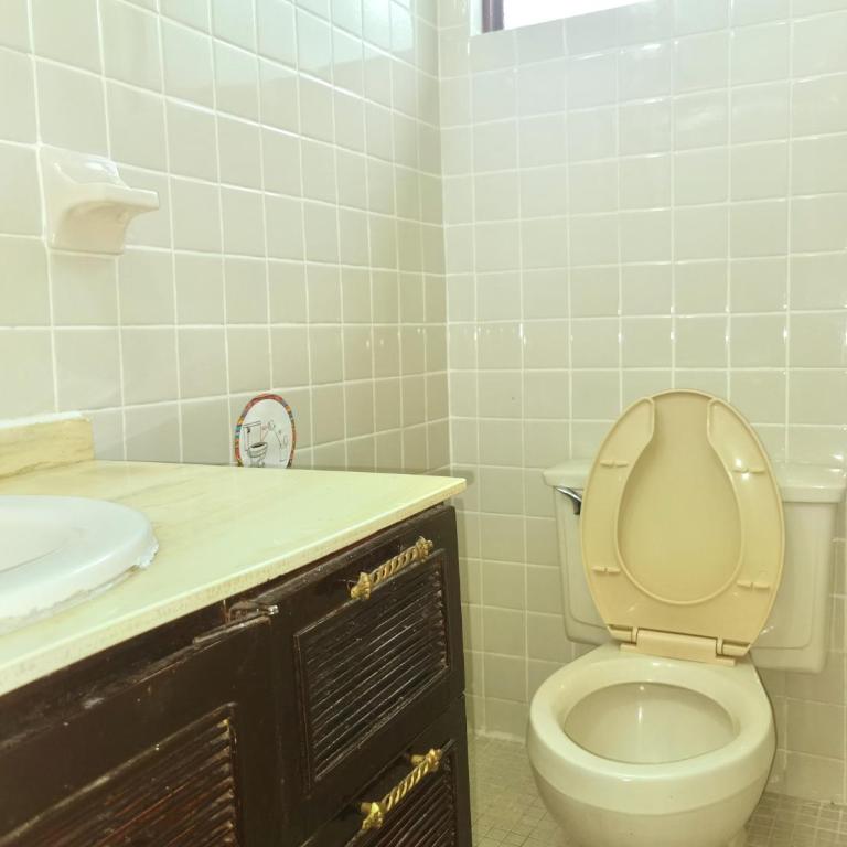 The Roof Backpackers - Bed in 8-Bed Mixed Dormitory Room - 7