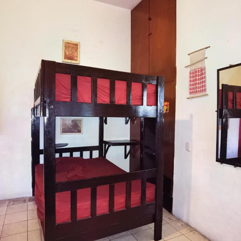 The Roof Backpackers - Bed in 8-Bed Mixed Dormitory Room - 1