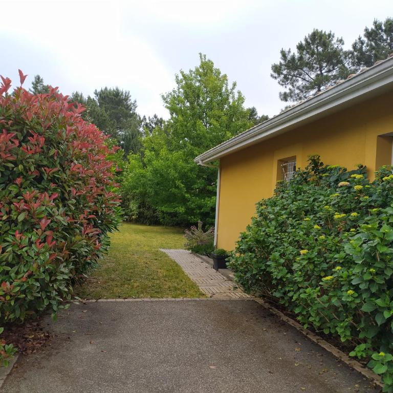 Villa Maryne - Double Room with Garden View - 4