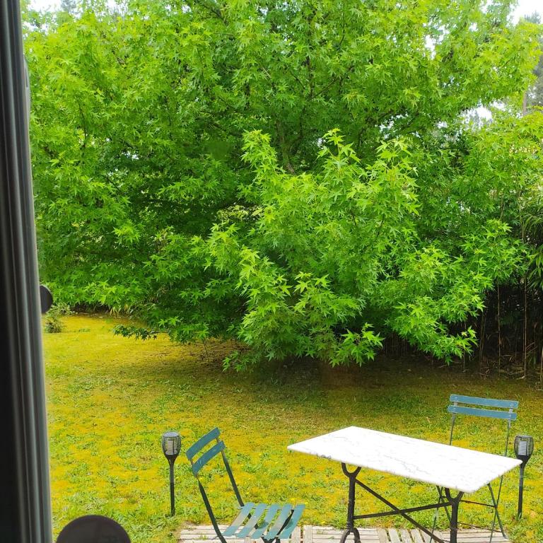 Villa Maryne - Double Room with Garden View - 3