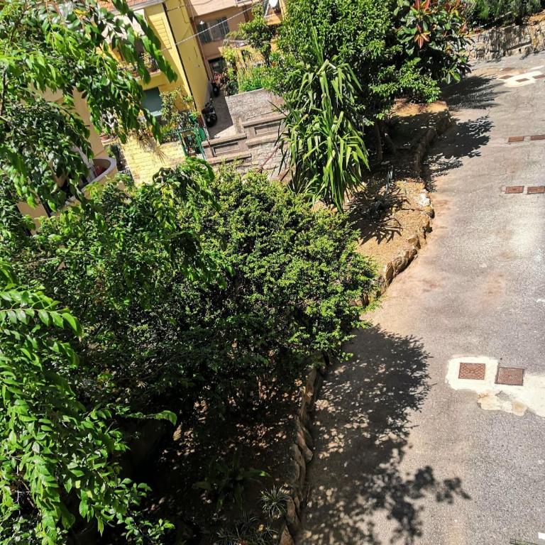 CasAgnese Sanremo - Appartement - Vue sur Jardin - 34