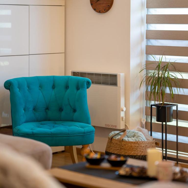 Zlatiborski sjaj - Apartman sa 1 Spavaćom Sobom - 32