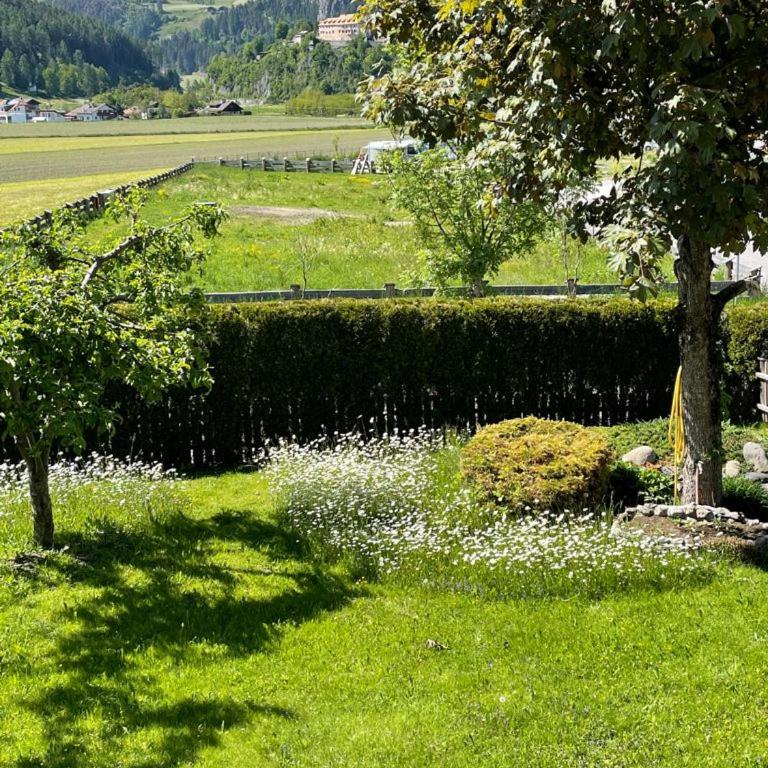 Haus Schönblick - Appartamento con Vista Giardino - 2