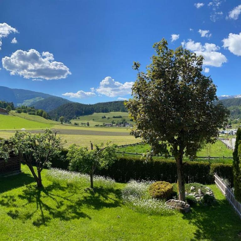 Haus Schönblick - Appartamento con Vista Giardino - 3