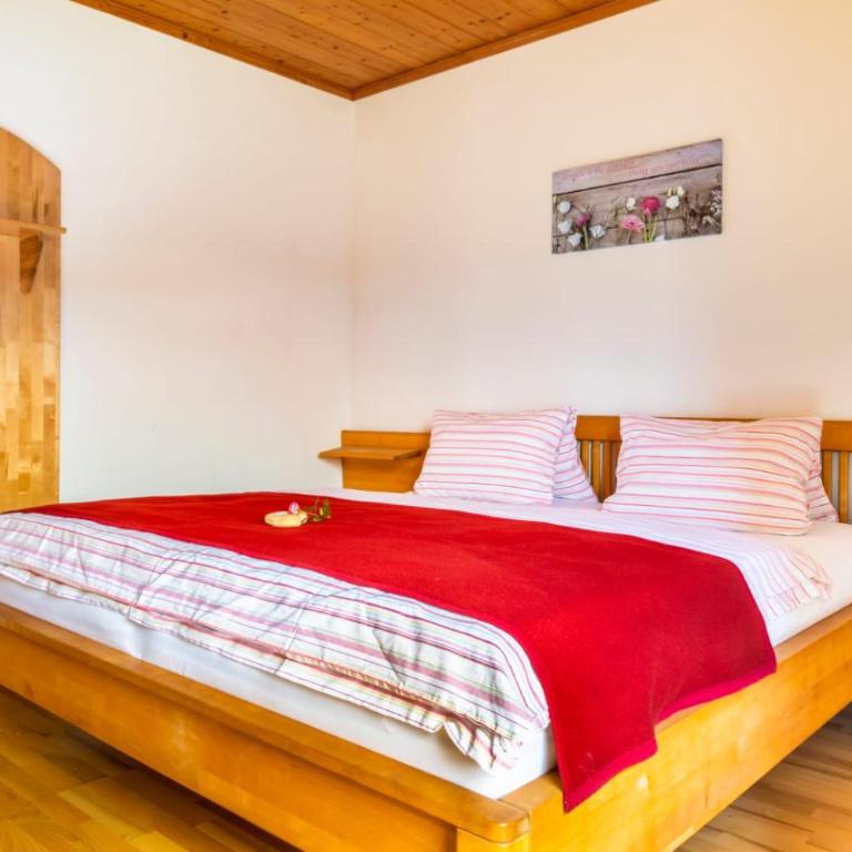 Appartement Reitlhof - Familie Krispler - Bio-Berg-Bauernhof - Apartment mit 2 Schlafzimmern und Balkon - 10