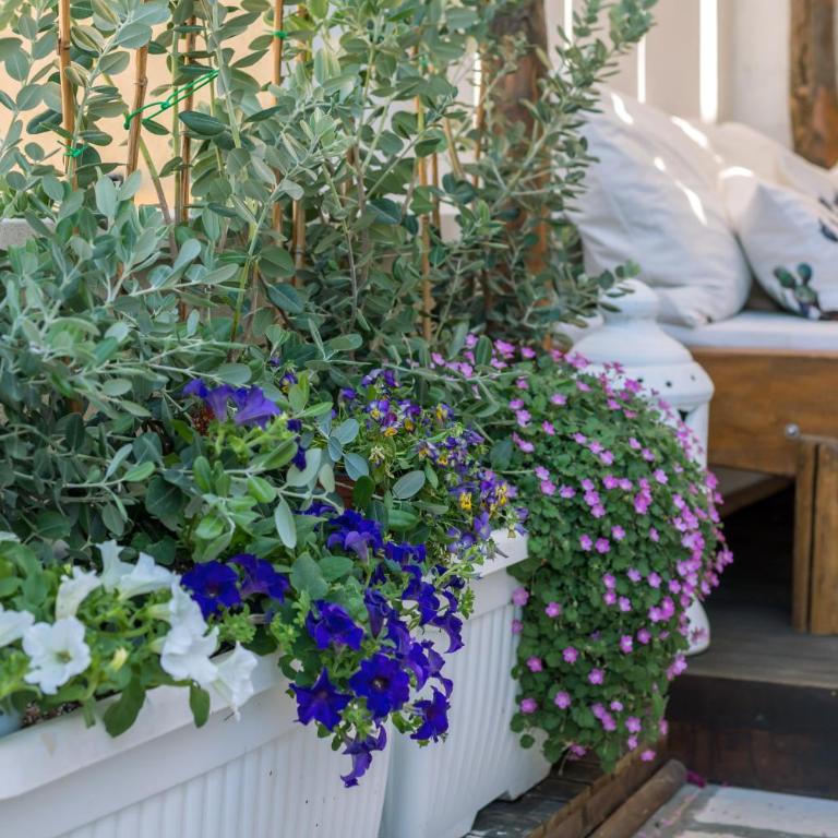 CIVETTHOUSE : la casa delle civette - Appartamento con 2 Camere da Letto - 26