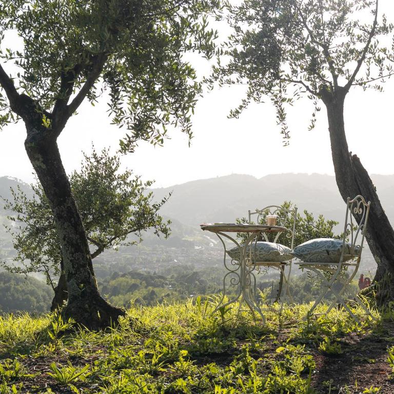 Villa "Il Grillo" Piscina privata, Panorama e privacy - Villa - 44