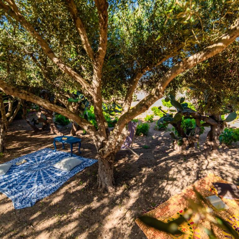 Residenza Ormos - Dimore sul mare - Villa con Vista Mare - 40