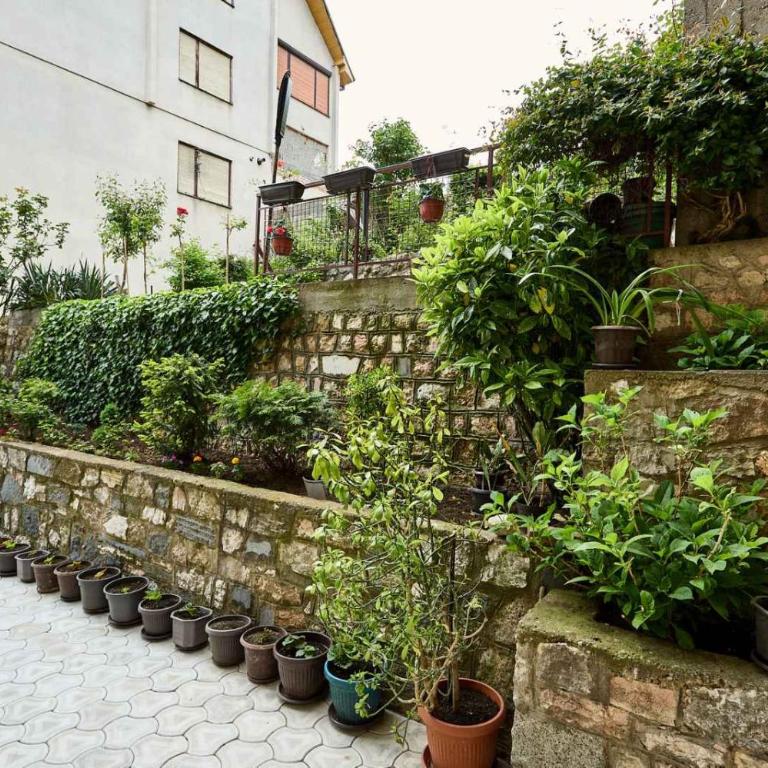 Apartmani Dr. Gaša - Apartman sa 1 Spavaćom Sobom - 5